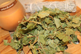 Sycamore Maple Leaf Herb - 2026 Appalachian Mountains Wild Harvest