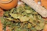 Sycamore Maple Leaf Herb - 2026 Appalachian Mountains Wild Harvest