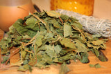 Sycamore Maple Leaf Herb - 2026 Appalachian Mountains Wild Harvest