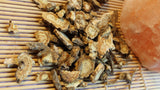 Lovage Seeds - Grow your own Herbs !