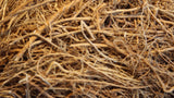Vetiver Root