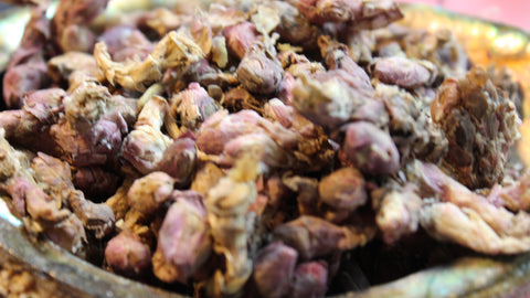 Coltsfoot Flower - Dried Blossoms