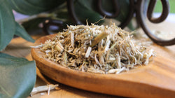 Sassafras Twigs - Dried Herb for Tea, Gumbo, Soup and Exotic Culinary flavoring