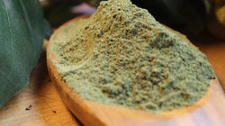 Andrographis Powder Herb, Green Chiretta