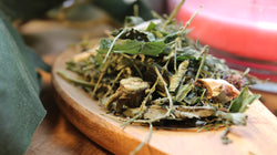 Vervain, White - Cut and Sifted, 2025 Summer Harvest