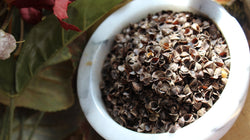 Buckwheat Hulls - Pillow Crafts, Soil additive, Spiritual Practices