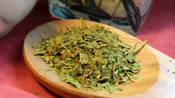 Peach Leaf Herb - Spring 2025 Appalachian Mountains Harvest