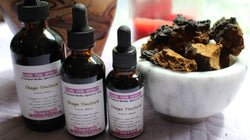 Chaga Mushroom Tincture - Wild Harvested Chaga