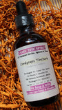 Cordyceps Mushroom Tincture