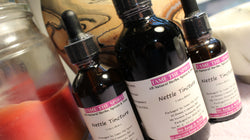 Nettle Tincture - Made with Wild Harvested Nettle from the Appalachian Mountains