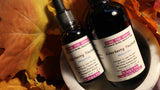 Elderberry Tincture - Made with Wild Harvested Berries from the Appalachian Mountains