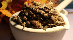 Heal All Flowers - Self Heal Herb, Wild Harvested