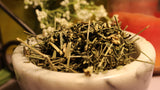 Andrographis Herb, Green Chiretta
