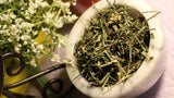 Andrographis Herb, Green Chiretta