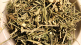 Andrographis Herb, Green Chiretta