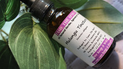 Mulungu Bark Tincture - Erythrina mulungu