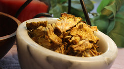 Hedge Apple Herb - Dried Maclura pomifera from the Appalachian Mountains