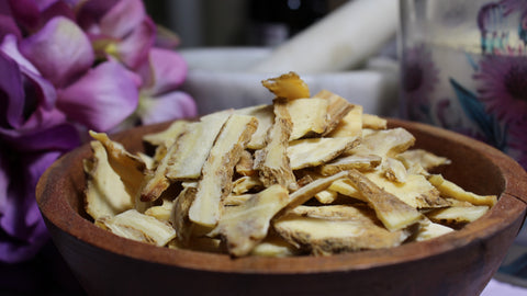 Dong Quai Root