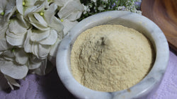 Hydrangea Root Powder - Appalachian Mountains Wild Harvest