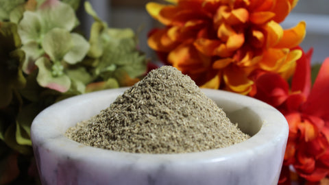 Gravel Root Powder - Wild Harvested Eupatorium purpureum