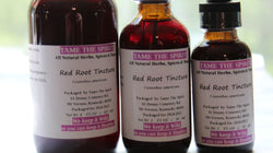 Red Root Tincture - Made from Wild Harvested Root right here in the Appalachian Mountains