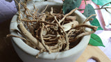 Hydrangea Root - Whole Dried Roots, Fresh Appalachian Mountains Wild Herb Harvest