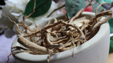 Hydrangea Root - Whole Dried Roots, Fresh Appalachian Mountains Wild Herb Harvest