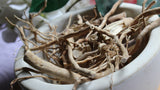 Hydrangea Root - Whole Dried Roots, Fresh Appalachian Mountains Wild Herb Harvest