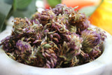 Red Clover Flower - Dried Whole