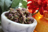 Red Clover Flower - Dried Whole