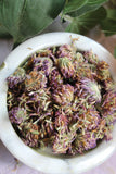 Red Clover Flower - Dried Whole