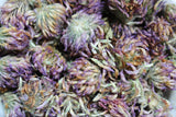 Red Clover Flower - Dried Whole