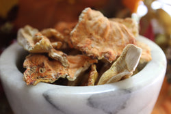 Chicken of the Woods Mushroom