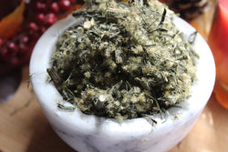 Horseweed Herb - Appalachian Mountains Wild Harvest