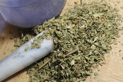 Gymnema Leaf - Cut & Sifted