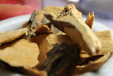 Camphor wood - Cinnamomum camphora - Natural Incense, Smudge, Woodworking