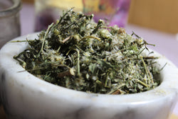 Wild Aster Herb - Cut & Sifted