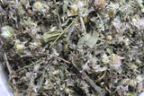 Wild Aster Herb - Cut & Sifted