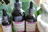 Violet Leaf Tincture - Appalachian Mountains Wild Harvest