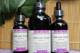 Violet Leaf Tincture - Appalachian Mountains Wild Harvest