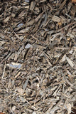 Butternut bark - Cut & Sifted Herb