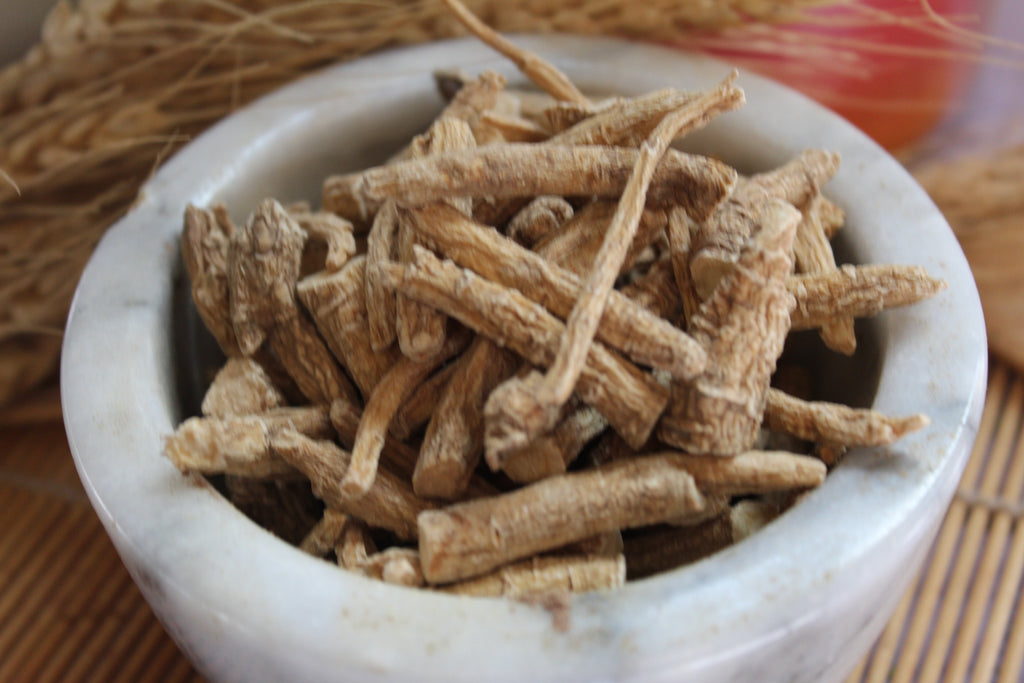 Ginseng Root, Whole - Panax quinquefolius – Tame the Spirit