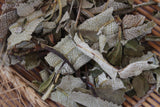 Yerba Santa Leaf - Holy Weed, Wild Harvested Herb