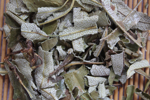 Yerba Santa Leaf - Holy Weed, Wild Harvested Herb