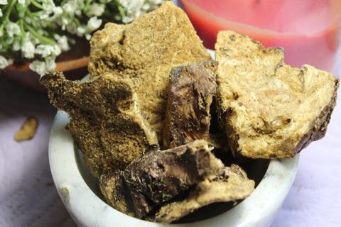 Lomatium Root - Large Cut