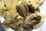 Lomatium Root - Large Cut
