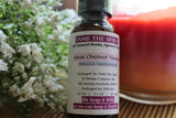 Horse Chestnut Tincture