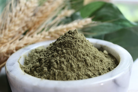 Green Tea Powder - All Natural, Non GMO