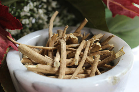 Devil's Shoestring root