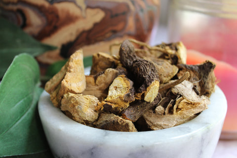 Japanese Knotweed Root - Polygonum cuspidatum, Large Cut